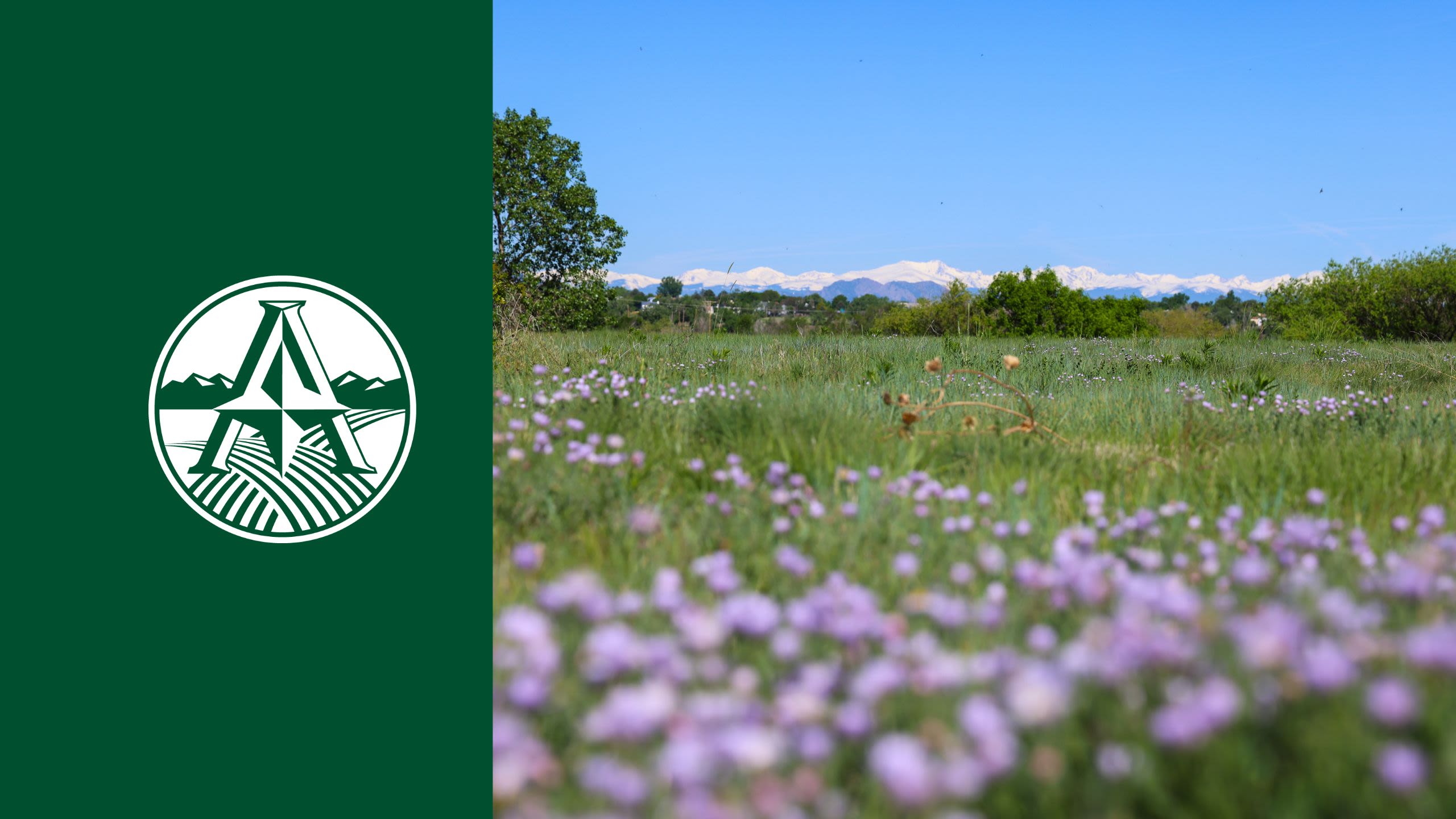 Adams County logo set to the left of a field with wildflowers and mountains in the background